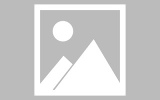 樟树株洲网站建设案例（网站建设实例）